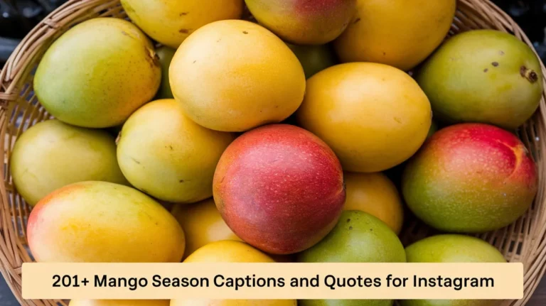 Mango Season Captions And Quotes For Instagram