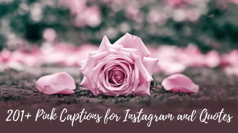 Pink Captions for Instagram and Quotes