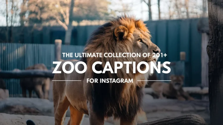 The Ultimate Collection of Zoo Captions for Instagram